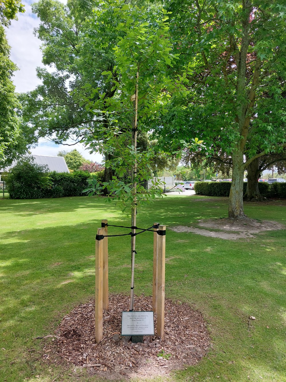 The Ascension of King Charles III is commemorated by an oak tree
