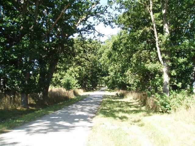 Cust-West Eyreton Public Cemetery, Cust, c. 2008