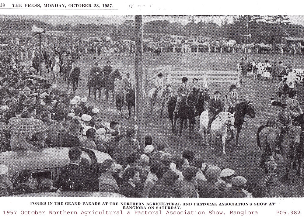 Ponies in the grand parade, Northern Agricultural &amp; Pastoral Association Show, 1957 