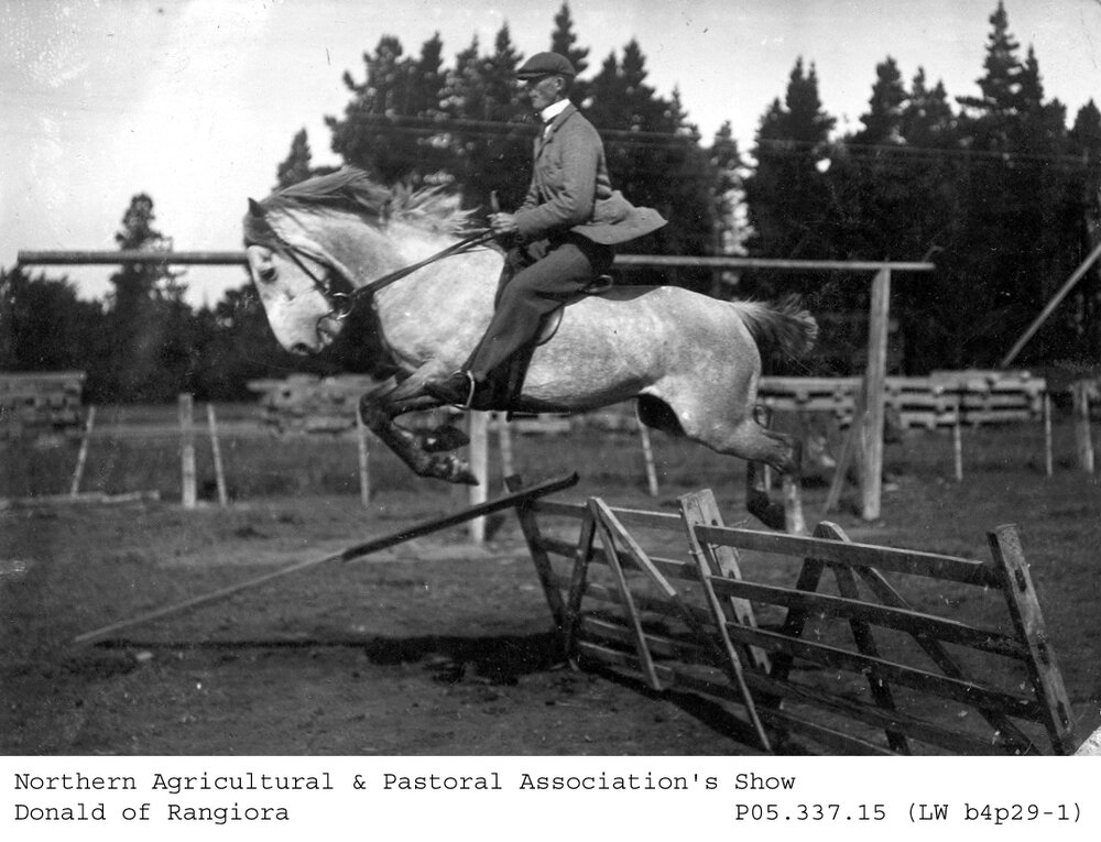 "Donald of Rangiora" at the Northern Agricultural &amp; Pastoral Association Show, Rangiora