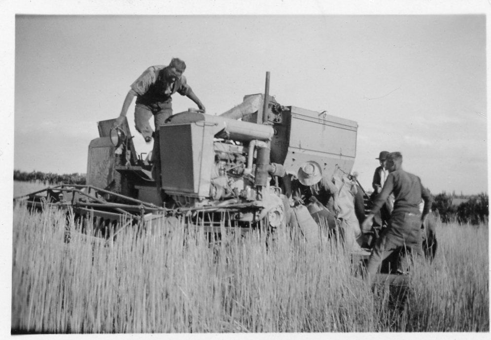 Harvesting, 1930s