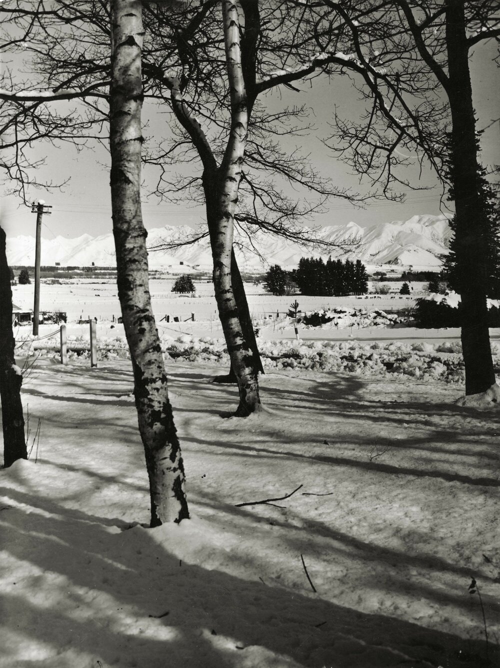 Amuri Avenue - Hanmer Springs