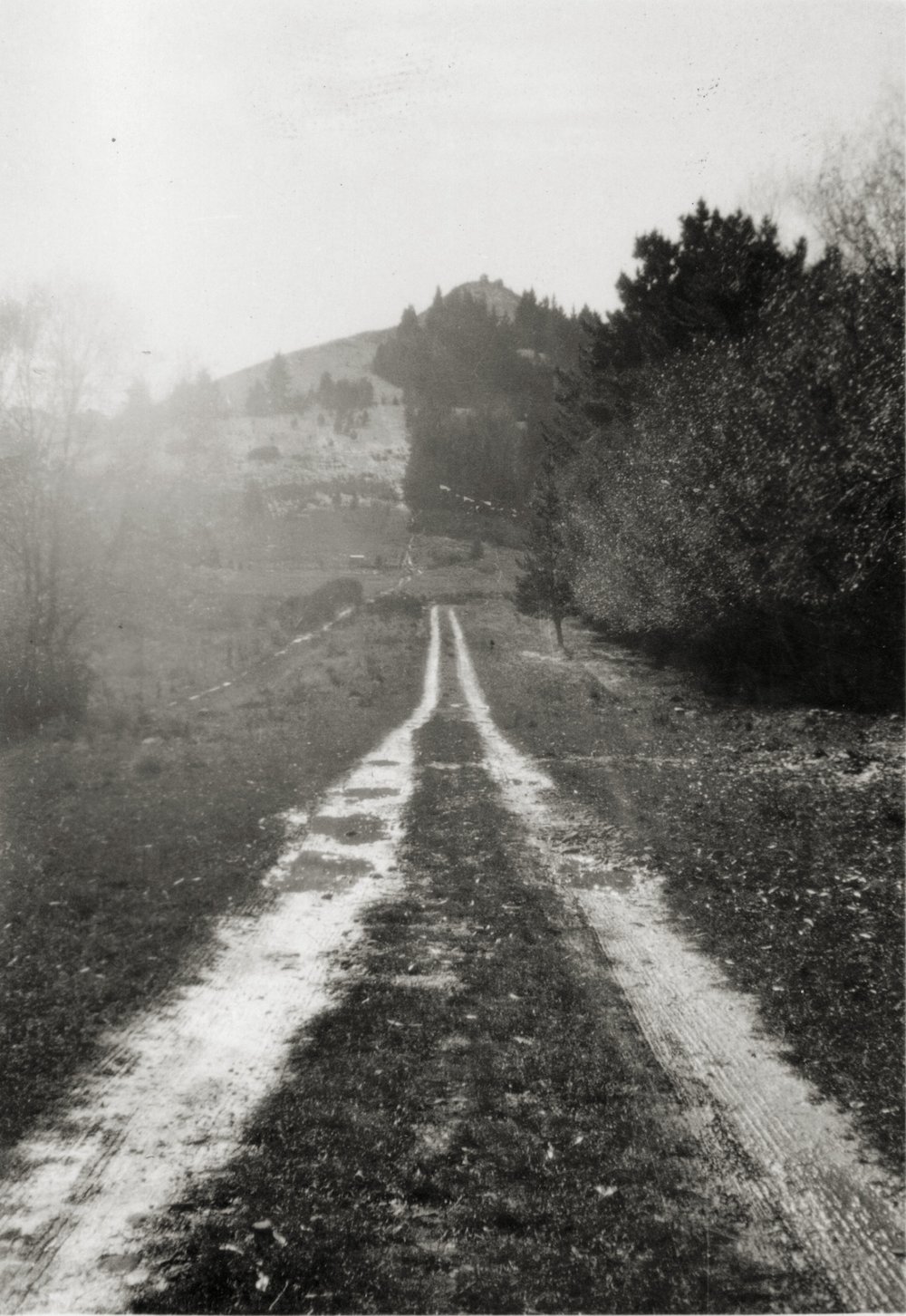 Conical Hill Road - Hanmer Springs