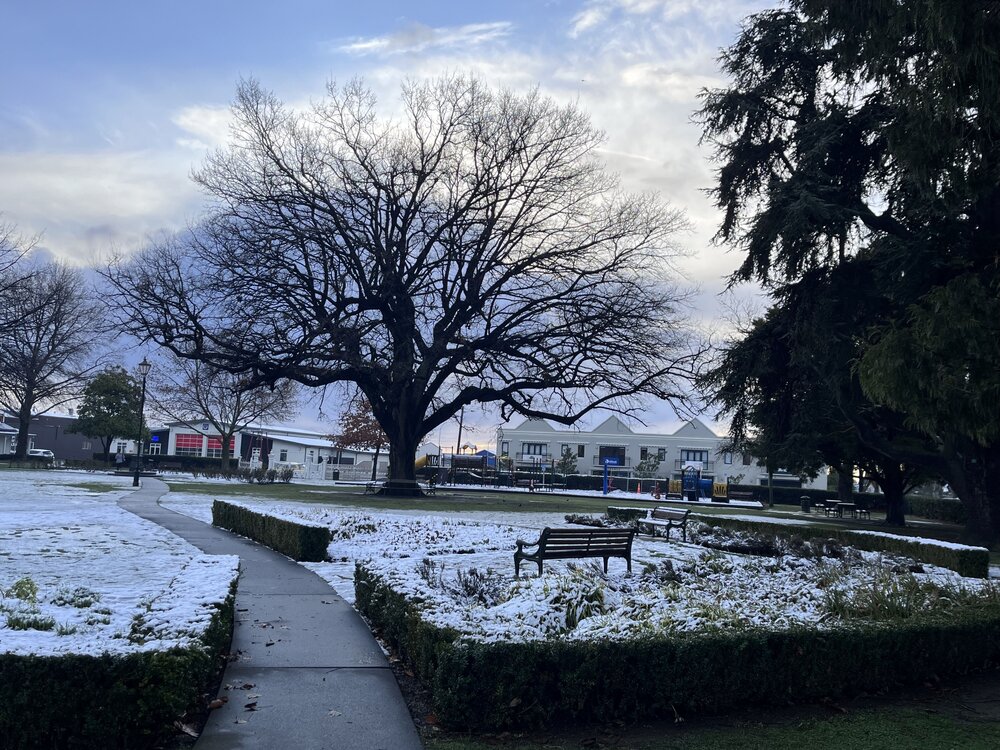 Snow in Victoria Park, Rangiora 2024