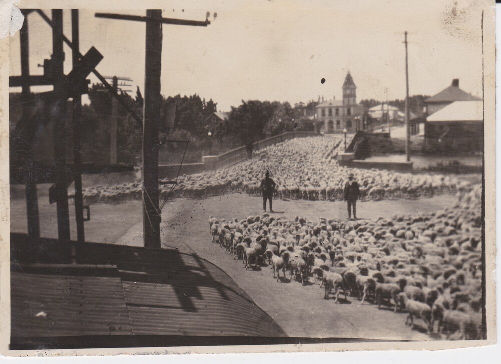 4000 sheep on High Street, Kaiapoi c.1910