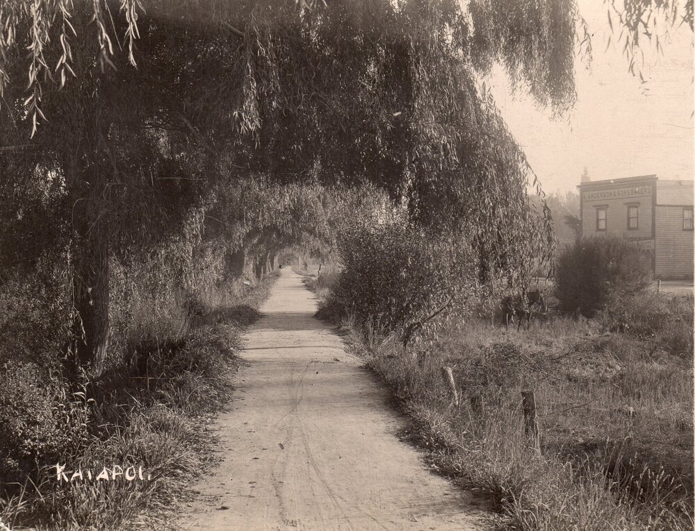 Anderson and Sons, Bakers, Kaiapoi