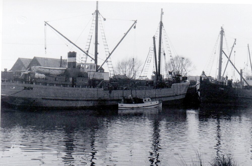 WAIOTAHI and TOA and pilot boat TAINUI