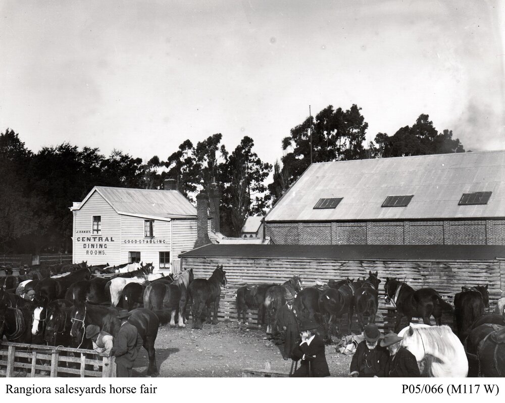Rangiora Sale Yards - horse fair