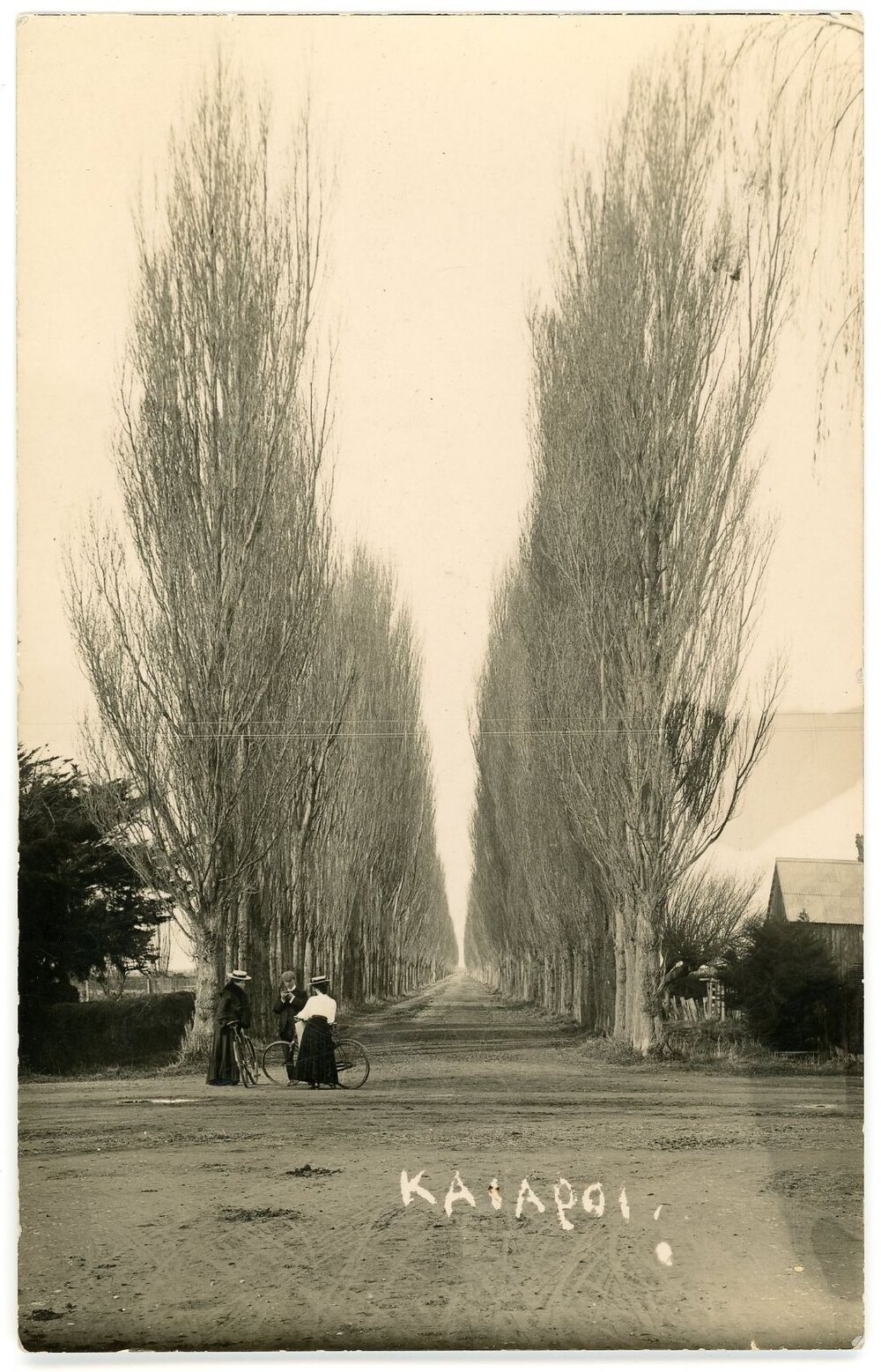 Beach Road, Kaiapoi, c.1905
