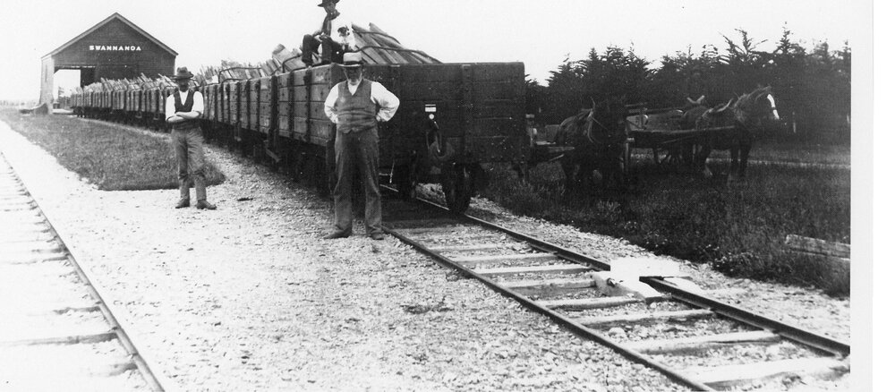 Swannanoa Station, North Canterbury