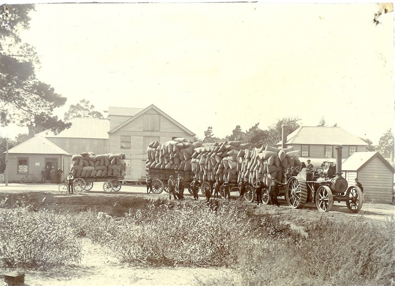 Transporting grain to Kaiapoi Wharf