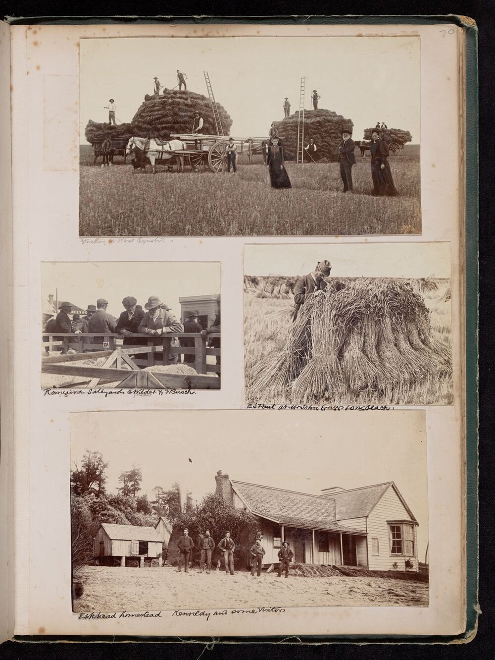 Stacking hay at West Eyreton