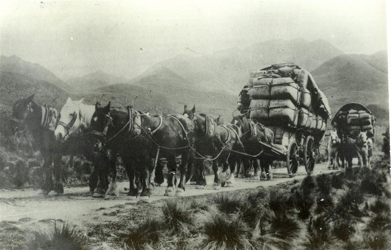 Transporting wool c.1912