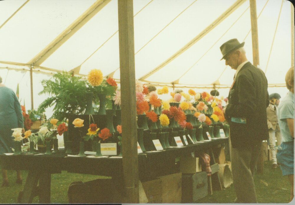Cut flower class at Oxford Show