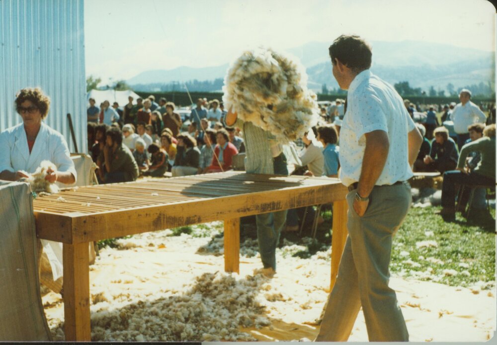 Wool classing at shearing competition, Oxford Show, date unknown