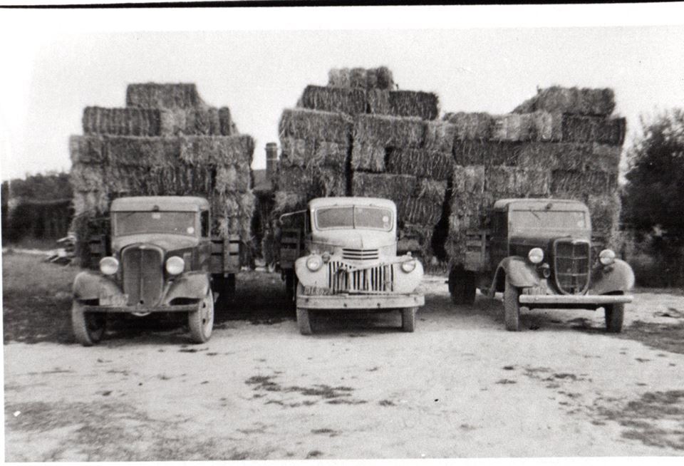 Transport North Canterbury (TNC)