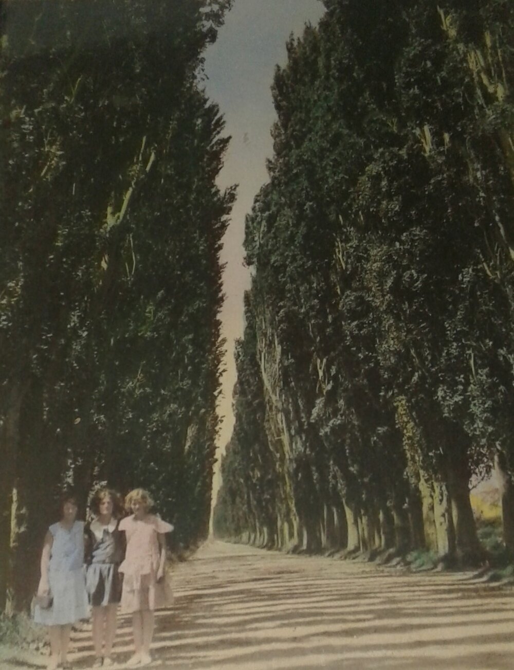 Beach Road, Kaiapoi, c.1940