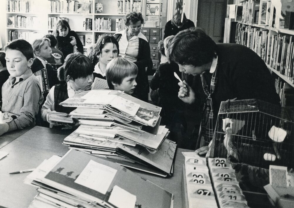 St Joseph's School class visit to the Rangiora Library