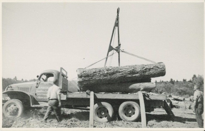Logging