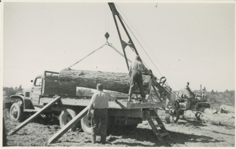 Logging 2