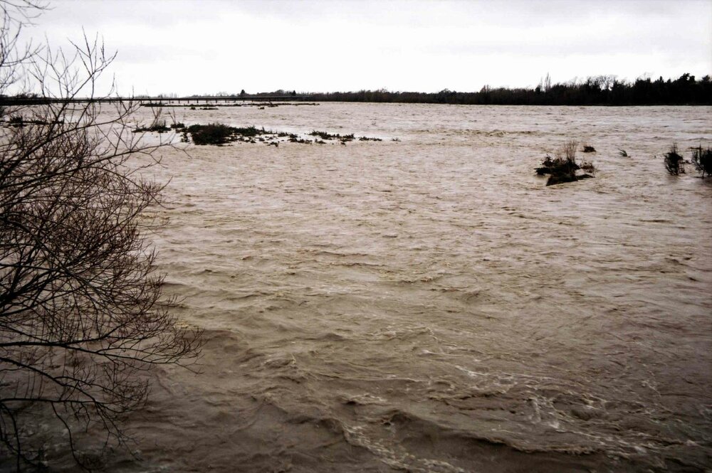 Ashley River in full flood