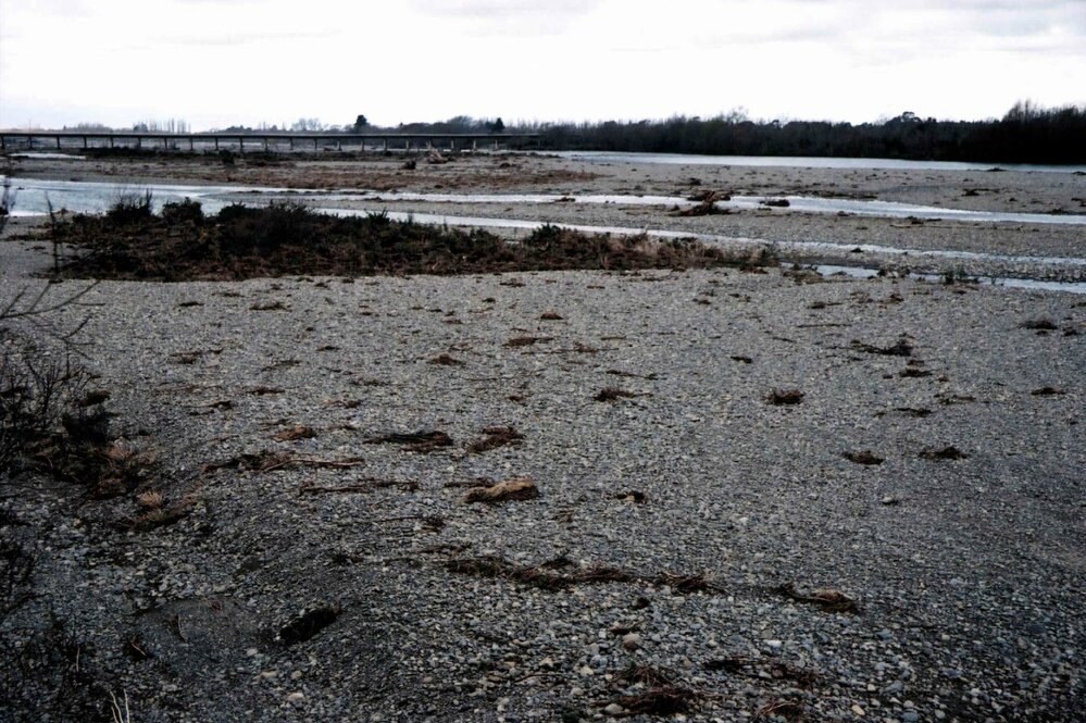 Ashley River returns to normal one week after August flood