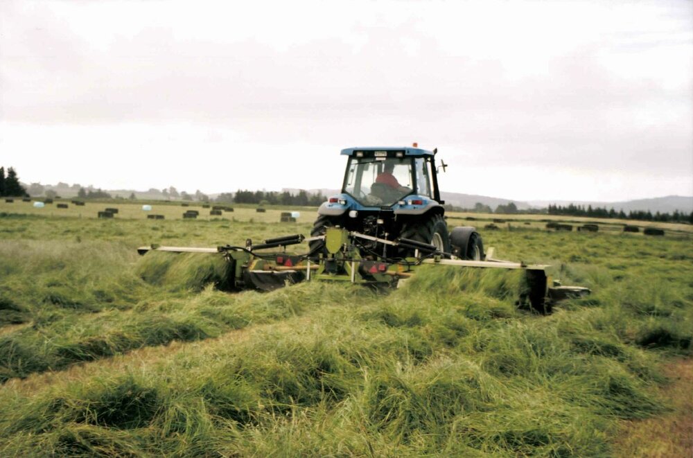 Haymaking on dairy farm - Ashley