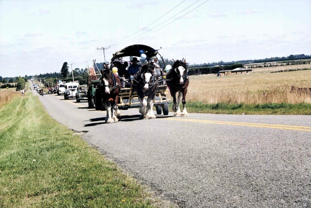 Clydesdales during Millenium Parade, c. 2000