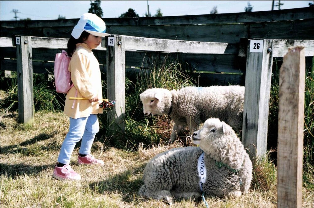 Lambs - Rangiora A&amp;P Show, 2000