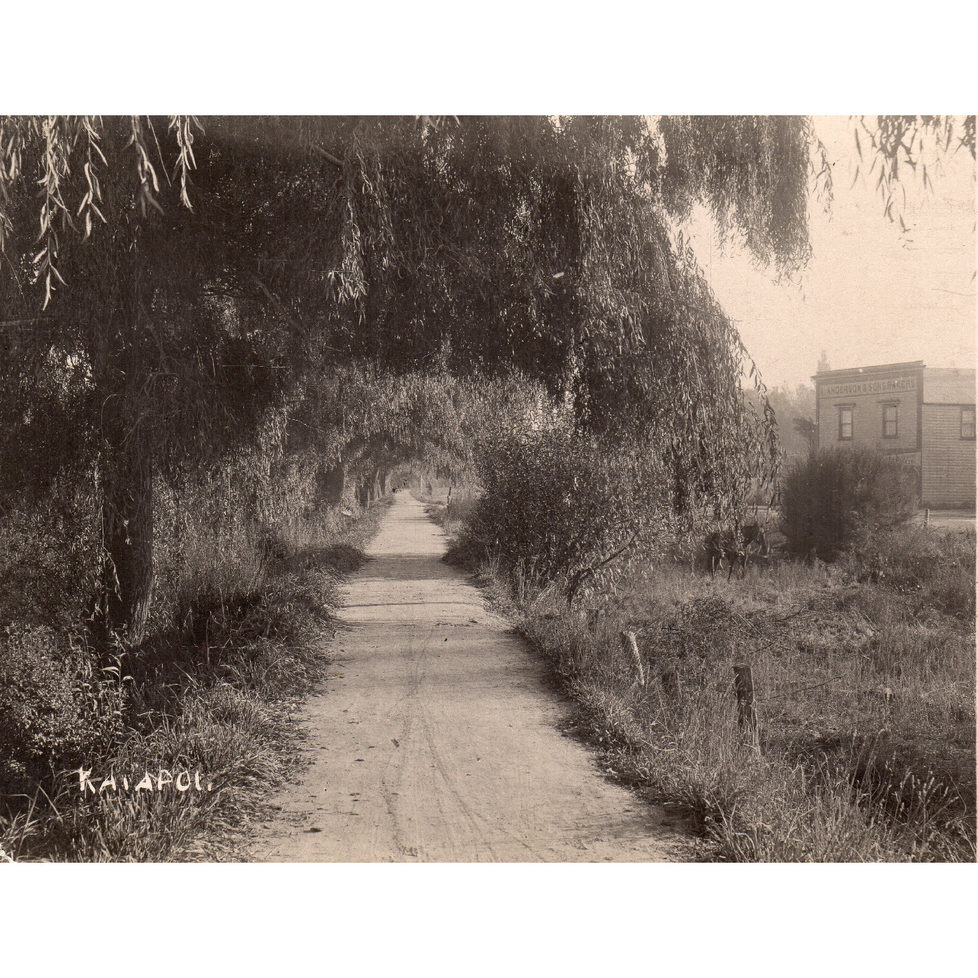 Anderson and Sons, Bakers, Kaiapoi