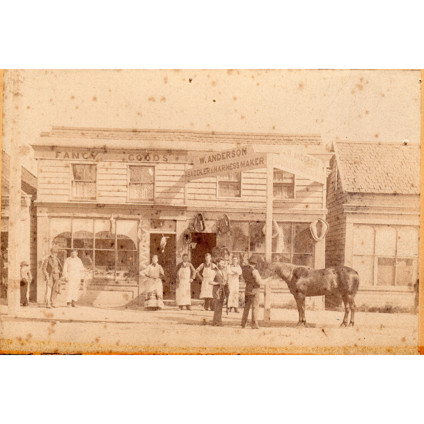 Fancy Goods; W. Anderson Saddler & Haness Maker; John Sim's office Cookson Street, Kaiapoi
