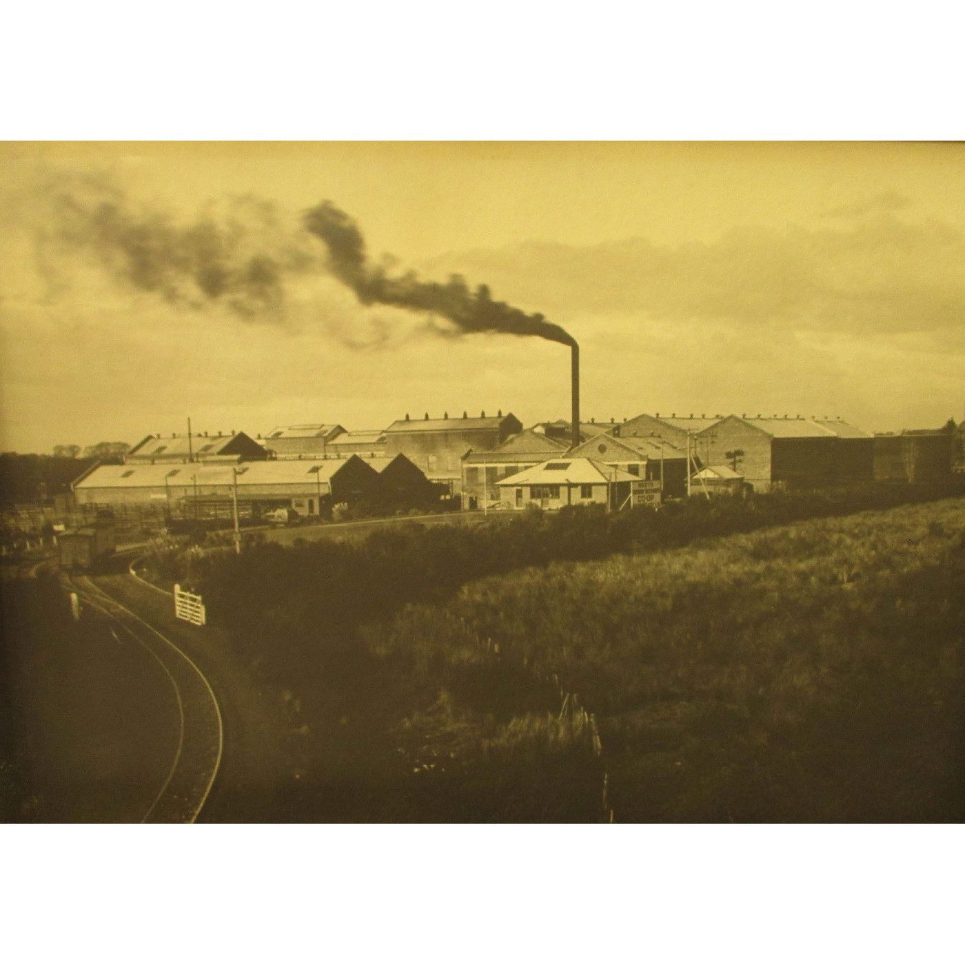 North Canterbury Freezing Works c.1917