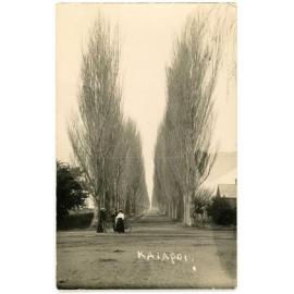 Beach Road, Kaiapoi, c.1905