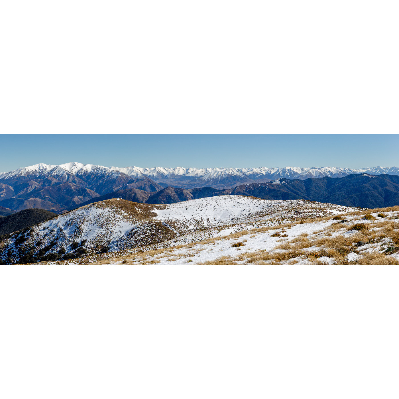 Oxford Local Government