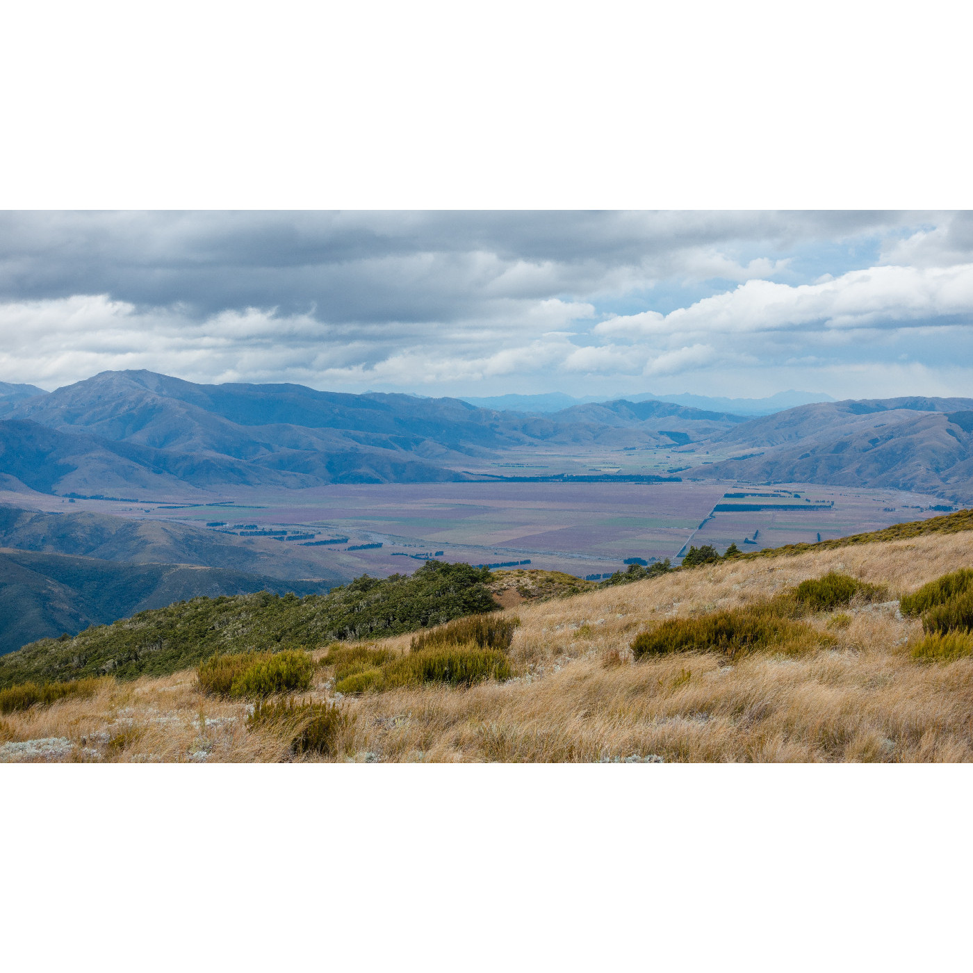 Waimakariri District