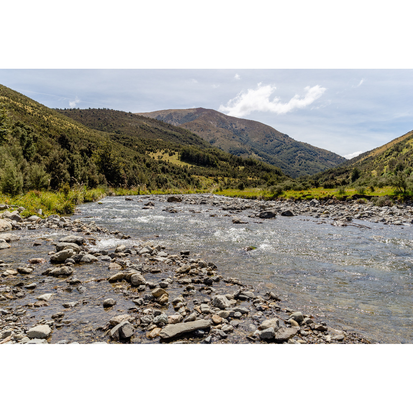 Waimakariri District Council