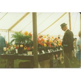 Cut flower class at Oxford Show