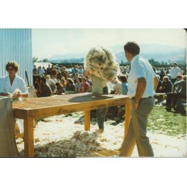 Wool classing at shearing competition, Oxford Show, date unknown