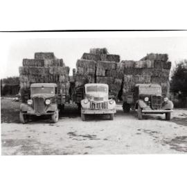 Transport North Canterbury (TNC)