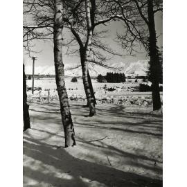 Amuri Avenue - Hanmer Springs