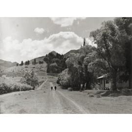 Conical Hill Road - Hanmer Springs