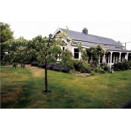 'Oakleigh' - Rangiora