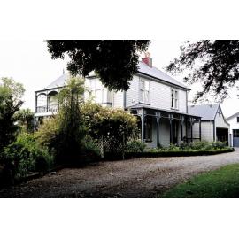 'Silverstream' - Rangiora