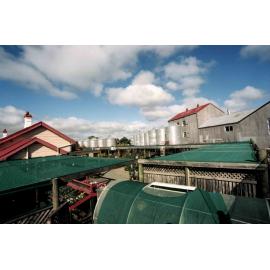 Old industrial area on Edward Street Rangiora from Railway Station