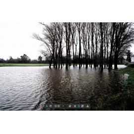 Flooding across road from Kaiapoi Cemetery