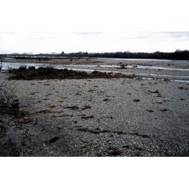 Ashley River returns to normal one week after August flood