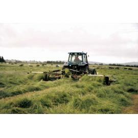 Haymaking on dairy farm - Ashley