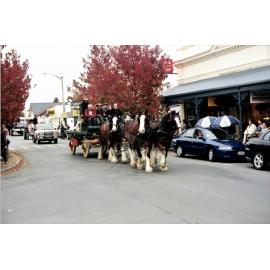Clydesdale team in parade, Rangiora