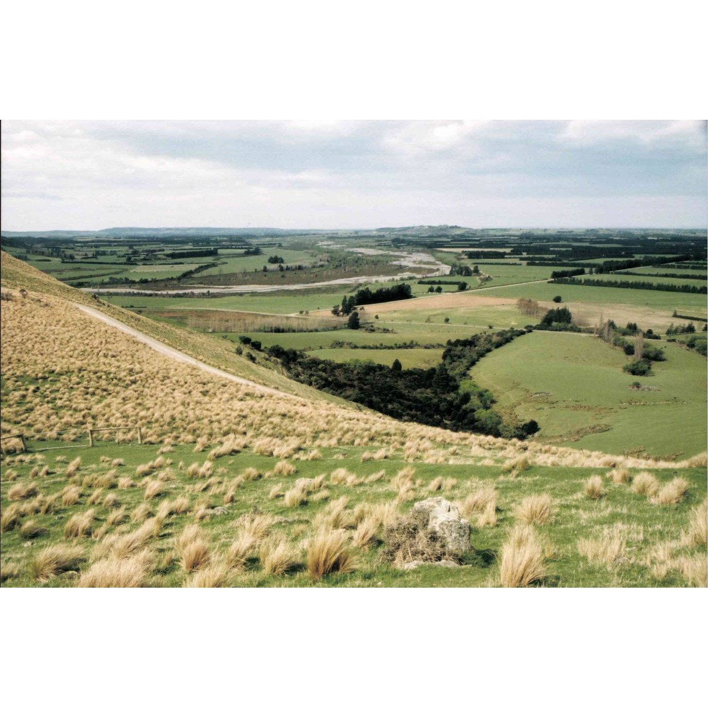 Landscape