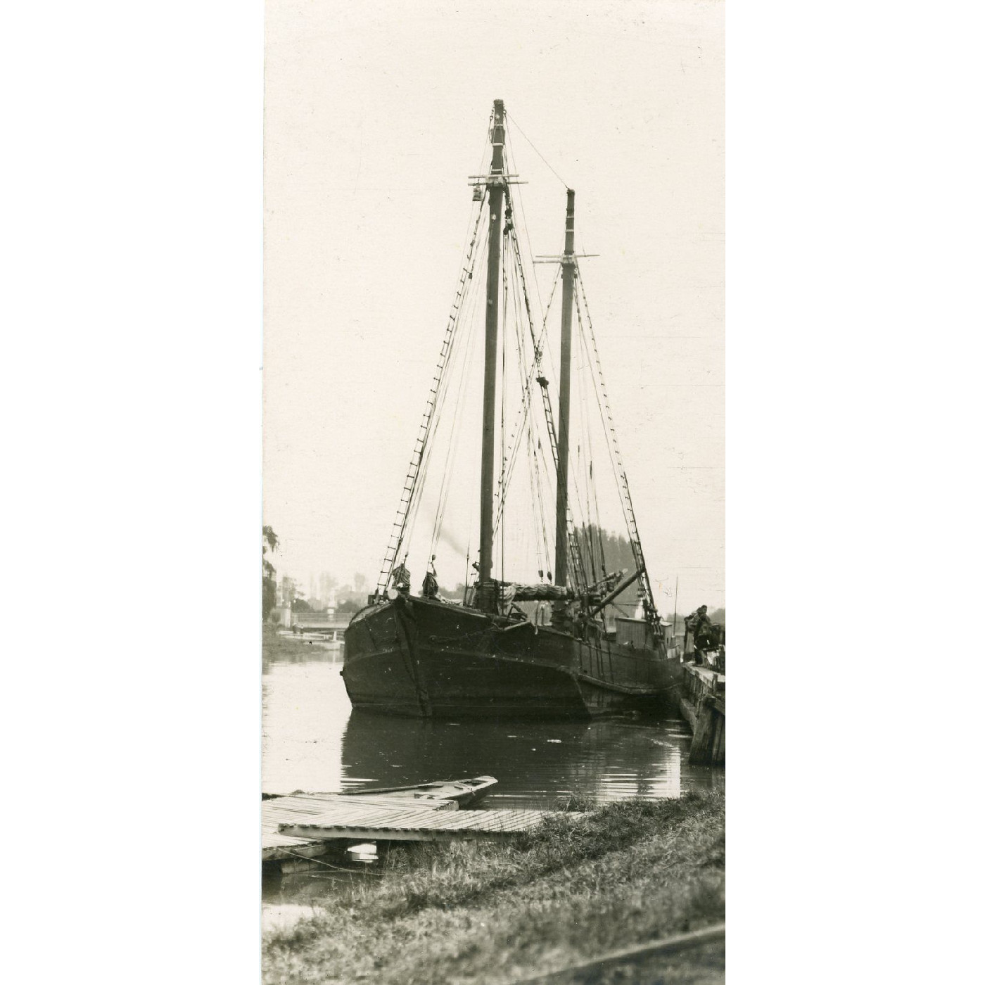 The scow Ngahau unloading, 1958
